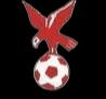 Whitehawk